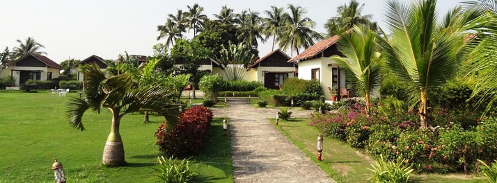 United-21 Vanvaso Gir - Gir National Park 01.jpg